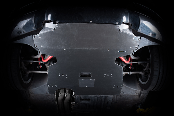 Avoiding Tragedy: Protecting Your BMW Against Unexpected Hazards